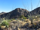 photo thumbnail #8