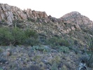 photo thumbnail #10