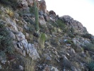 photo thumbnail #11