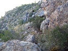 photo thumbnail #12