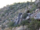 photo thumbnail #13