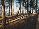 photo thumbnail #9