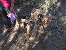 photo thumbnail #5