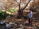 photo thumbnail #9