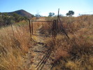 photo thumbnail #3