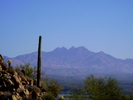 photo thumbnail #4