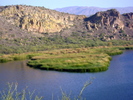 photo thumbnail #6