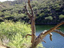photo thumbnail #10