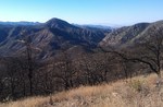 photo thumbnail #6