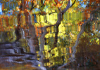 photo thumbnail #14