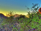 photo thumbnail #3