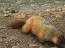 photo thumbnail #15