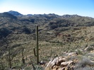 photo thumbnail #9
