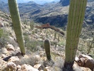 photo thumbnail #10