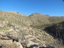 photo thumbnail #1