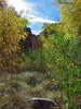 photo thumbnail #3