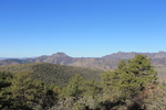 photo thumbnail #1