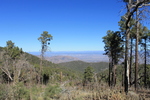 photo thumbnail #8