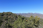 photo thumbnail #9