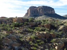 photo thumbnail #9