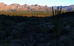 photo thumbnail #2