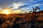 photo thumbnail #15