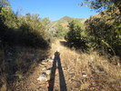 photo thumbnail #2