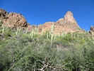 photo thumbnail #1