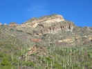 photo thumbnail #14