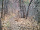photo thumbnail #15