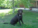 photo thumbnail #7