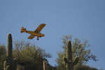 photo thumbnail #2