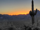 photo thumbnail #2