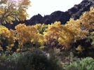 photo thumbnail #11