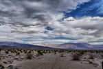 photo thumbnail #7