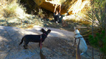 photo thumbnail #7