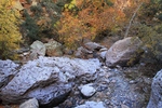 photo thumbnail #2
