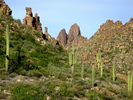 photo thumbnail #2