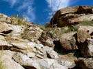 photo thumbnail #10