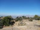 photo thumbnail #8