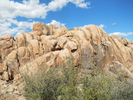 photo thumbnail #11