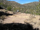 photo thumbnail #5