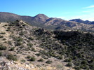 photo thumbnail #15