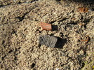 photo thumbnail #9