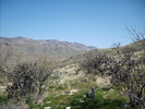 photo thumbnail #7