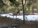 photo thumbnail #13