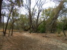 photo thumbnail #13