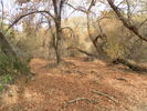 photo thumbnail #15