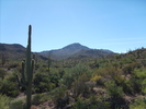 photo thumbnail #11