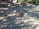 photo thumbnail #13